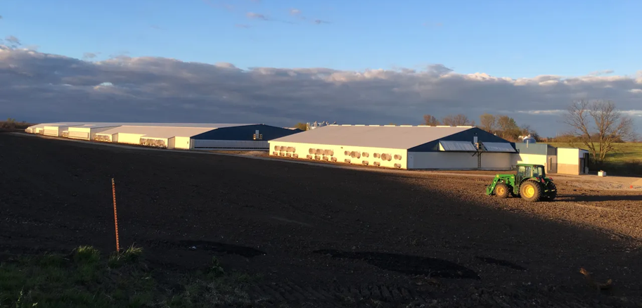 Completed filtered swine farm exterior at sunset with field in foreground